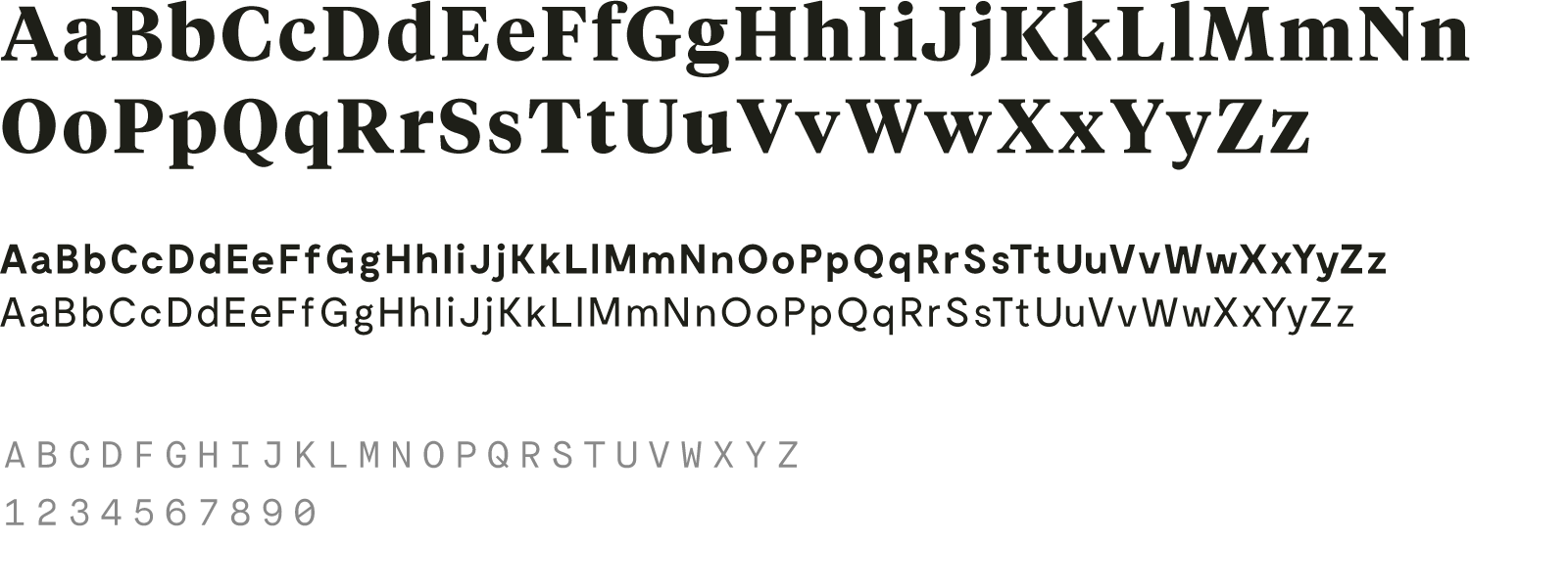 Ivy Experience - Brand Design
