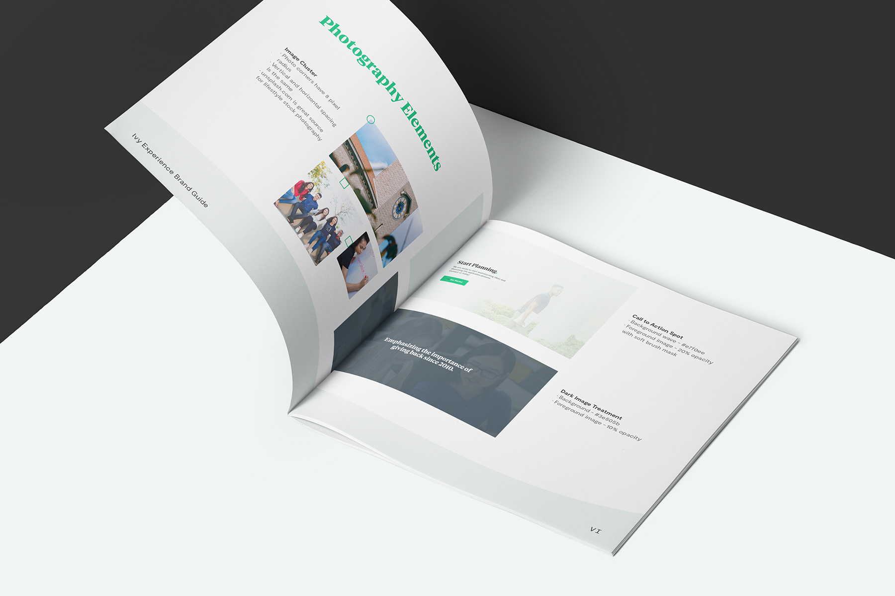 Ivy Experience - Brand & Website Design